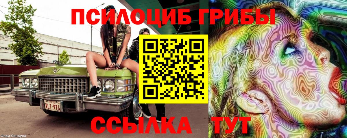 Псилоцибиновые грибы Magic Shrooms Кольчугино
