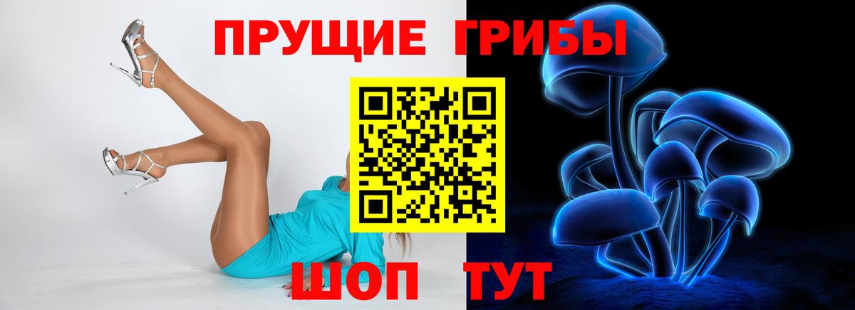 Галлюциногенные грибы ЛСД  Вход с VPN  Псилоцибиновые грибы ЛСД  Кольчугино 